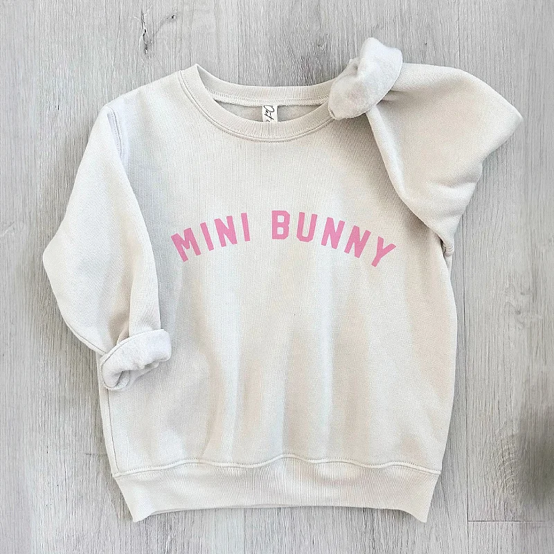 Luxury Style Mini Bunny Toddler Graphic Sweatshirt, Heather Dust